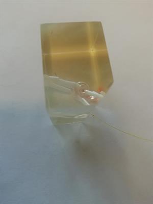 Effect of Underwater Insertion on Intracochlear Pressure